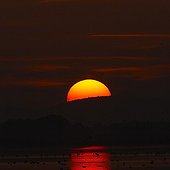 Sunset on Arnel pond France