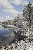 Boreal forest Kainnuu Finland