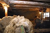 Wool stored in a sheepfold  Auvergne France
