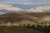 Palm grove and colorful mountains in the Valley of roses