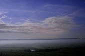 Mist over the Bay of Somme au clair de lune