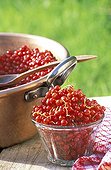 Confiture of Red currant in a basine