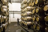 Cave refining barrels of wine Napa Valley California USA ; Family Laird