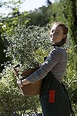 Young red-haired girl carrying a shrubby germander
