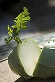 Kohlrabi sliced on a wooden tray