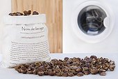 Dried soapnuts and washer in France