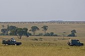 Ecotourism cars around a group of Lions Kenya