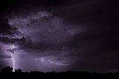 Lightning strike and intercloud lightning at night France ; Location: Iguerande.