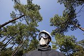 Fireman on patrol in the Coubre's Forest France ; Location: on the Arvert Peninsula<br>This forest was planted in the 19th century to limit the erosion of dunes: it is a coastal forest protection
