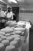Breeder phoning in his cheese workshop France ; Breeder: Christian Fournier<br>