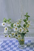 Bouquet of Disc mayweeds and Honeysuckle in a vase France