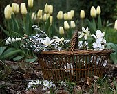 Bouquet in a basket in the garden Les jardins de Bellevue