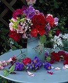 Oeillets Pois de senteur Roses Delphinium et Campanules
