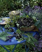 Harvest of black currants 'Delbard Robusta' on a table