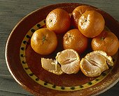 Harvest of clementines in a dish
