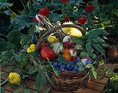 Harvest of fruits and vegetables in a basket