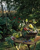 Basket of various fruits and vegetables