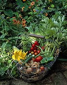 Basket of different vegetables in summer ; 'Ratte' Irish potato