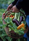 A person wearing a basket of vegetables from the garden