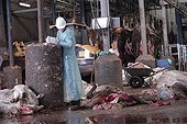 Veterinary performing an autopsy on the rendering plant