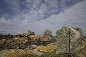 Rocks covered with lichens on the Ile de Bannec France