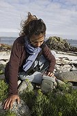 Ornithologist picking points of sound from storm petrels ; By this technique, the ornitologist could know how many burrows of European storm-petrel are occupied and etimate the bird population of this colony.