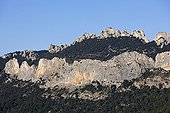 The Dentelles de Montmirail Provence France