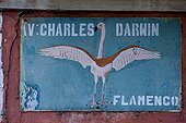 Panel of the street Charles Darwin Galapagos