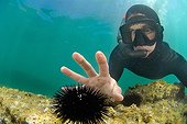 Apneiste pretending to touch a sea urchin Mediterranean Sea