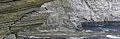 Atlantic Puffin on a coastal cliff sle of Noss Scotland