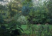 Jardins de Bellevue in autumn