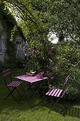 Clematis 'Aljonushka' table and chairs in the garden