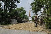 Old farmer in the process of fighting the scourge Hubei China