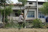 Old farmer in the process of fighting the scourge Hubei China