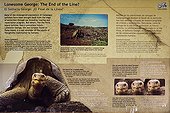Story of Lonesome George Santa Cruz Islands Galapogos ; Lonesome George is the last known individual of the Pinta Island Tortoise, subspecies Geochelone nigra abingdoni, one of eleven subspecies of Galápagos tortoise native to the Galápagos Islands