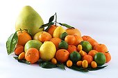 A composition of different Citrus