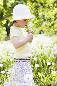 Girl blowing on a dandelion in an orchard France  ; Age: 3 years 