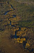 River flowing through the boreal forest in Lapland Finland 