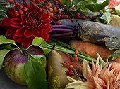 Nature morte de fruits et légumes