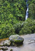 Small waterfall Te Urewera National Park New Zealand