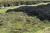 Contrast between lava and grass Volcano Krafla Iceland  ; The last eruption dates back to 1984