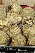 Celeriac's tubers