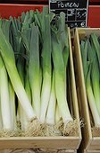Leeks in a tray