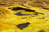 Concretions colored by sulfur Volcano Dallol Ethiopia