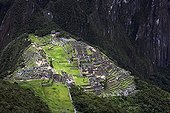 Sanctuaire historique de Machu Pichu Urubamba Pérou ; Ce site se situe à 2430m d'altitude. C'est une des oeuvres maîtresses de l'architecture Inca. Il a été déclaré Patrimoine Mondial de l'Humanité en 1983.