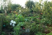 Vegetable garden in The Garden of Marie-Ange in Croisette ; Aeolian of garden