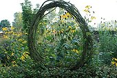 Plant window made by branches and yellow Rubeckies