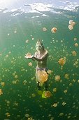 Skin Diving with harmless Jellyfishes Jellyfish Lake Palau