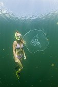 Moon Jellyfish and Skin Diver Palau Micronesia