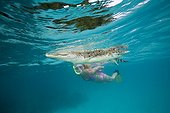 Skin Diver meets Saltwater Crocodile Palau Micronesia